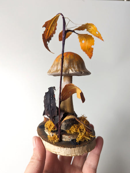 Autumn Cobweb Mushroom