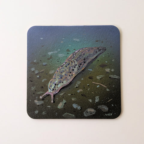 Chonky Friend - Leopard Slug