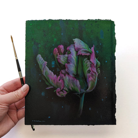 Pink and Green Parrot Tulip